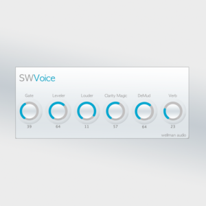 SW Voice
